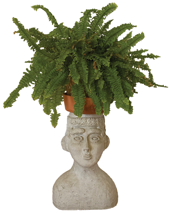 Concrete bust plant stand with fern