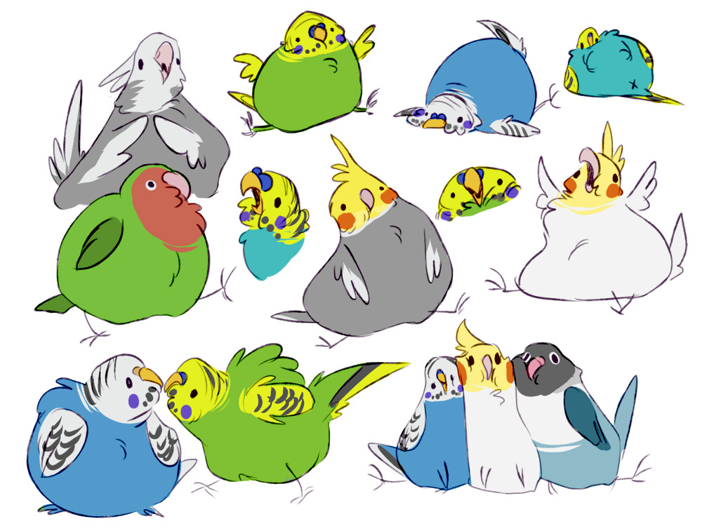 Cartoon of fat birds