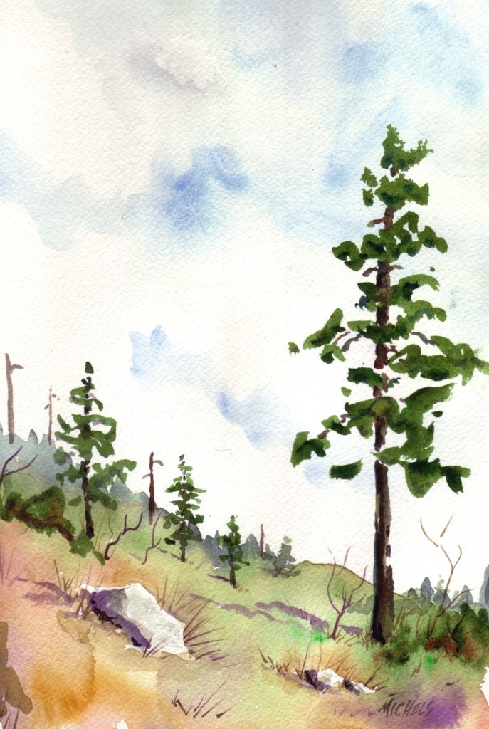 Watercolor of pine trees