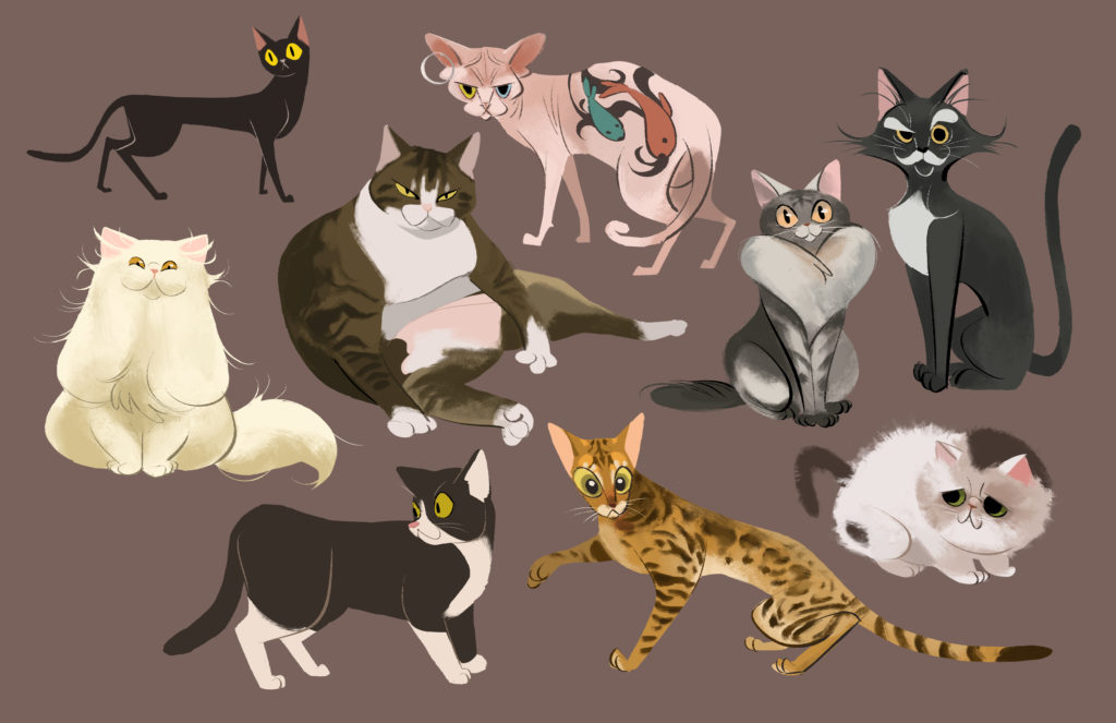 Different types of cats.