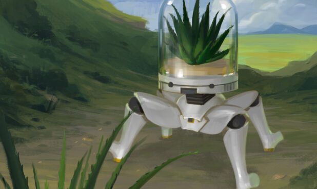 Robot with terrarium head