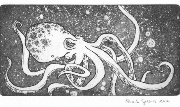TITLE: OCTOPUS  DESCRIPTION: Copperplate etching PRICE: $50