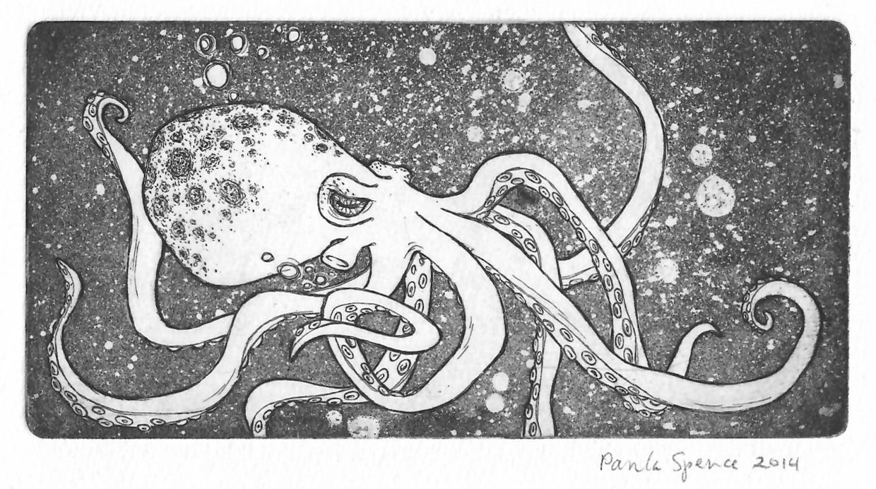 Black and white octopus