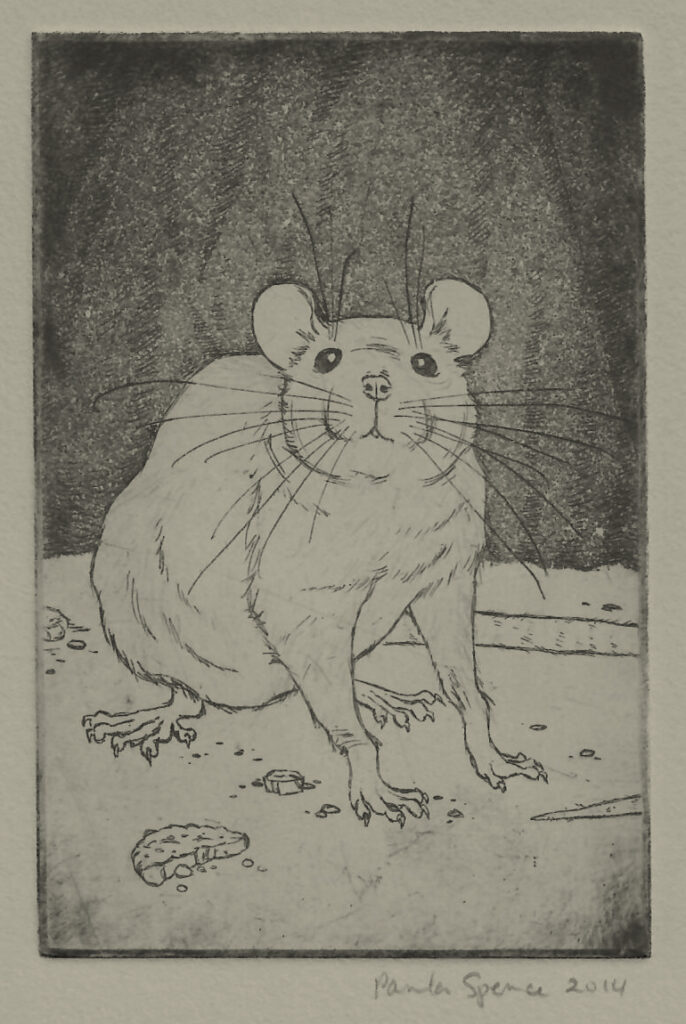चूहा का चित्र कैसे बनाएं | Easy Rat Drawing | Mouse Drawing Step by step 1  - YouTube