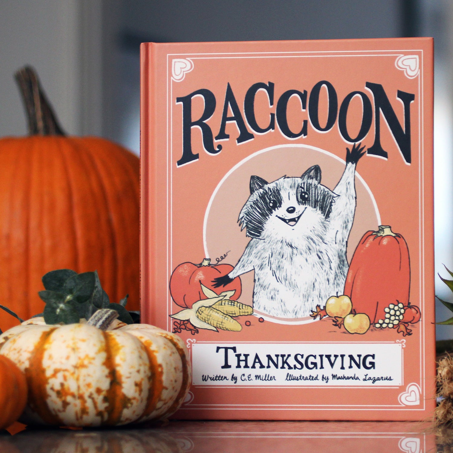 Children's picture book with raccoon on the cover